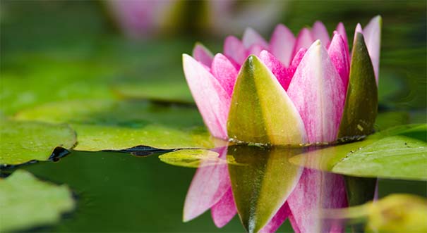 道教超度咒,让去世之人能赶紧转世