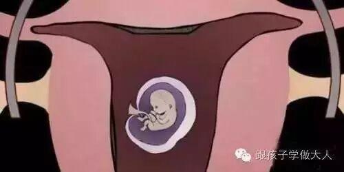 堕胎过程到底有多血腥残忍?