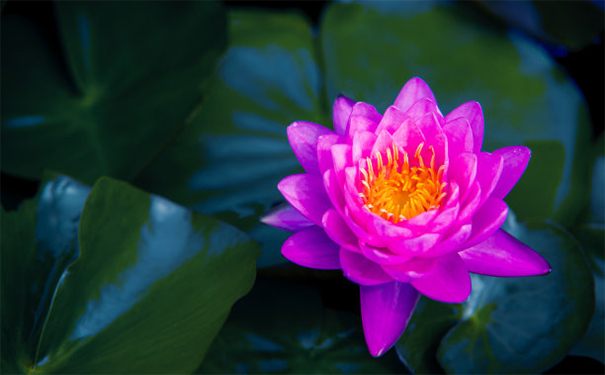 在梦里给已经逝去的亲人烧纸钱,是什么样的意思