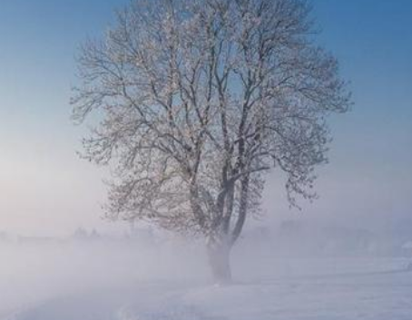 佛说2个胎停育因果,可能是前世坏事做太多