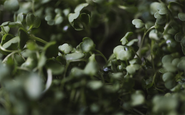 婴灵超度网,你不知道的超度步骤