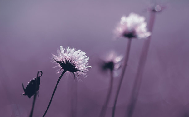 有婴灵跟着有什么感应,堕胎的女人赶紧来看