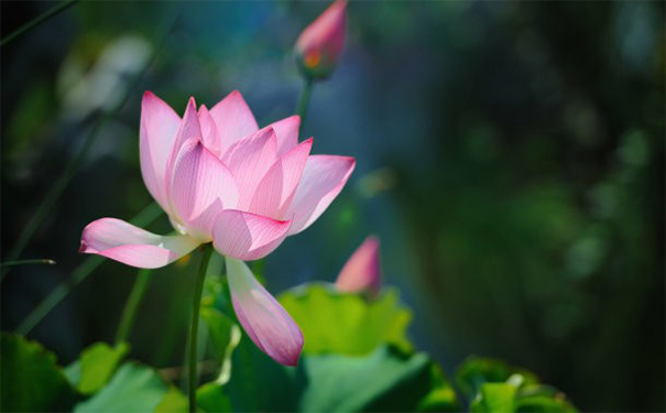 婴灵被超度后成功的表现都有这些,象征孩子得