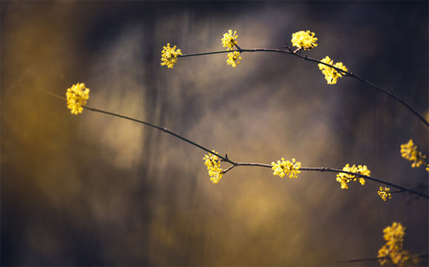用烟供来超度亡灵,三峰道长是这样说的