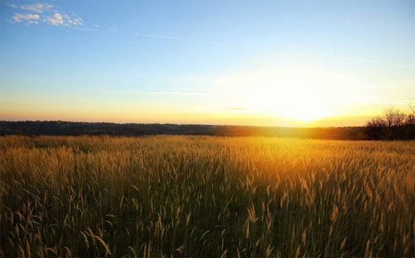 做完超度婴灵后回家禁忌,一般会有哪些