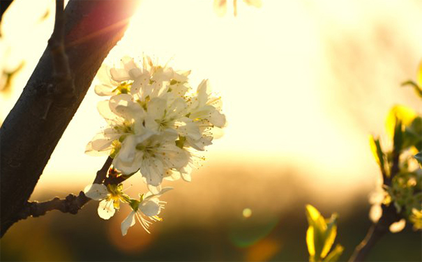超度亡灵法事的投胎视频,超度亡灵的过程