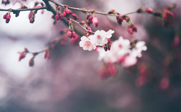 我堕胎后惨痛的报应,在超度后才恢复正常