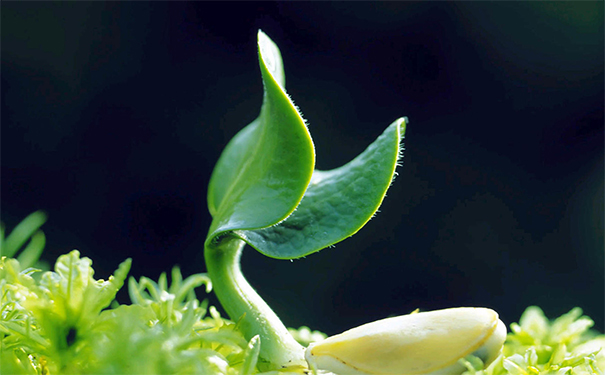 真实案例分享!灵婴超度后运气好转