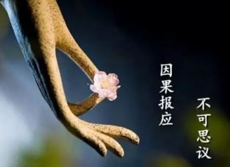 流产的孩子和父母的缘,应该要做超度