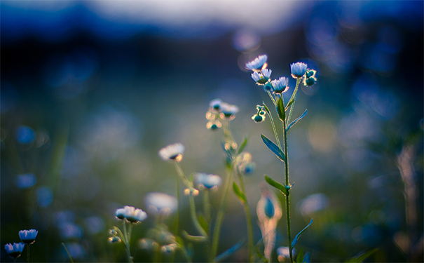 堕胎后婴灵跟着的征兆,需要超度才能化解