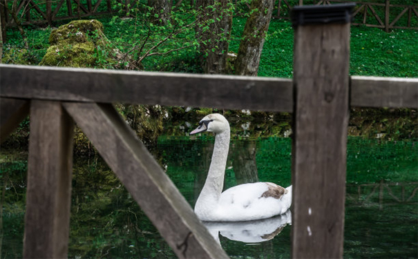 回向超度婴灵需要做到的事,这回向超度婴灵需