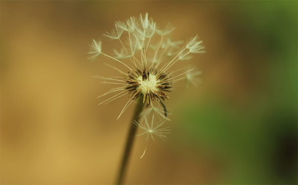 堕胎后婴灵跟着的征兆,专业大师教你超度婴灵