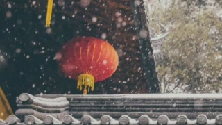 渡亡堕胎婴灵的经文,来看是如何帮助堕胎婴灵渡亡祈福