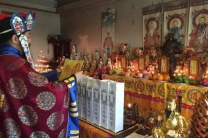 注意好这几个办公室摆绿植风水 也许能助你今年财运大发