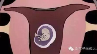 堕胎过程到底有多血腥残忍？