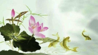 我只想知道怎么超度婴灵，具体步骤