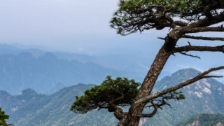 化太岁祈福注意事项