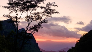 女鬼投胎后的感受，没有超度女鬼危害大