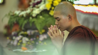 佛教大悲咒超度堕胎功效