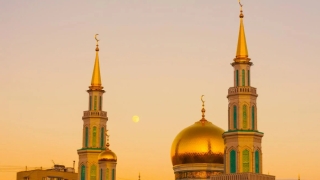 产后这几天总是噩梦连连,小产之后总是做噩梦那就需要渡亡婴灵