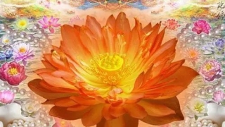 为什么不能在家念往生咒 , 超度婴灵法事要多少钱