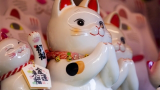 财运差的人怎样转运,超牛的转运方法