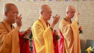 超度婴灵的感应,可以在七七四十九日内获得感