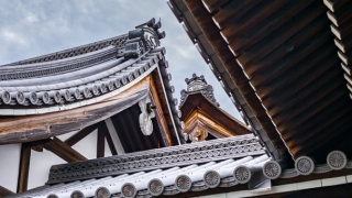 改桃花运的4个简单诀窍,想脱单就要用心掌握