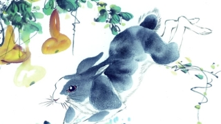 属兔的人最适合住什么楼房几层楼 属兔的人楼层选择最好吉利