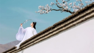 阴阳和合术咒语 关于道家和合术揭秘