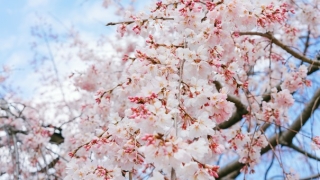 事业型男人很少联系你的原因,增加甜蜜的方法