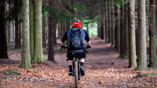 被灵婴缠身导致一直不孕,就需要找人渡亡婴灵才能再次怀孕