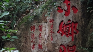 自己念经渡亡婴灵效果好不好,专业人士这样说