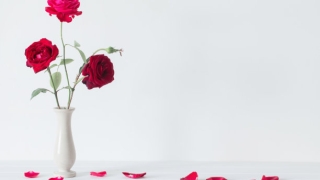 道教方大师简单分析为流产的孩子超度方法