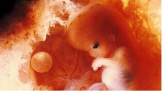 缘分未到孩子自然流产，人生陷入绝境