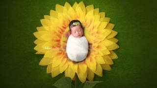 五台山做婴灵超度的费用 , 超度婴灵需要买什么东西好