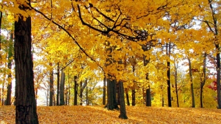 你不及时超度婴灵,这就是打胎会有什么因果报应