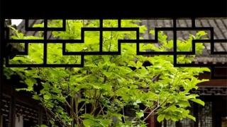 阴债启文,不还阴债生活难安,事事艰难