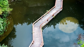 想发财可以请财神符，保证你的财运风生水起