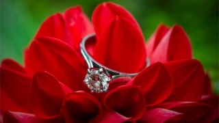 和合法事卦象显示会成功 那挽回的几率就比较大