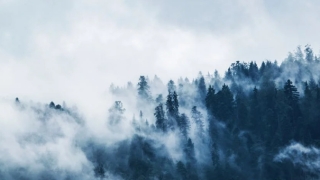 打胎对气运有影响吗,打胎会造成业障和婴灵