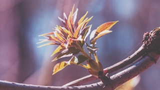 久病不愈心态崩溃 这不是医学能化解的