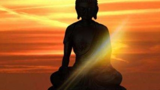 缘分没到怀上也会流产,急也急不来