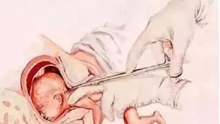 堕胎婴灵,祈愿地藏王菩萨佛力加持超度,让婴灵有家可归!