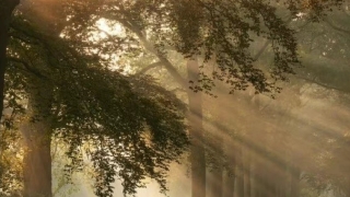 分享几个道家辟邪的咒语