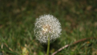 诸事不顺，久病不愈的症状这事因为我们福报不