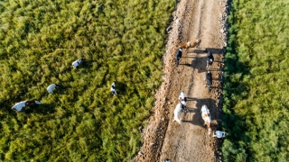 犯太岁自己拜太岁化解,常用的几种化太岁之法分享