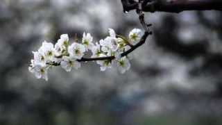 道教亡魂成功超度的表现都有这些