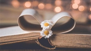 男女八字合婚相合表结婚婚配查询表