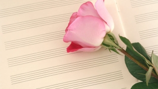 命太好的人 不能算命的原因